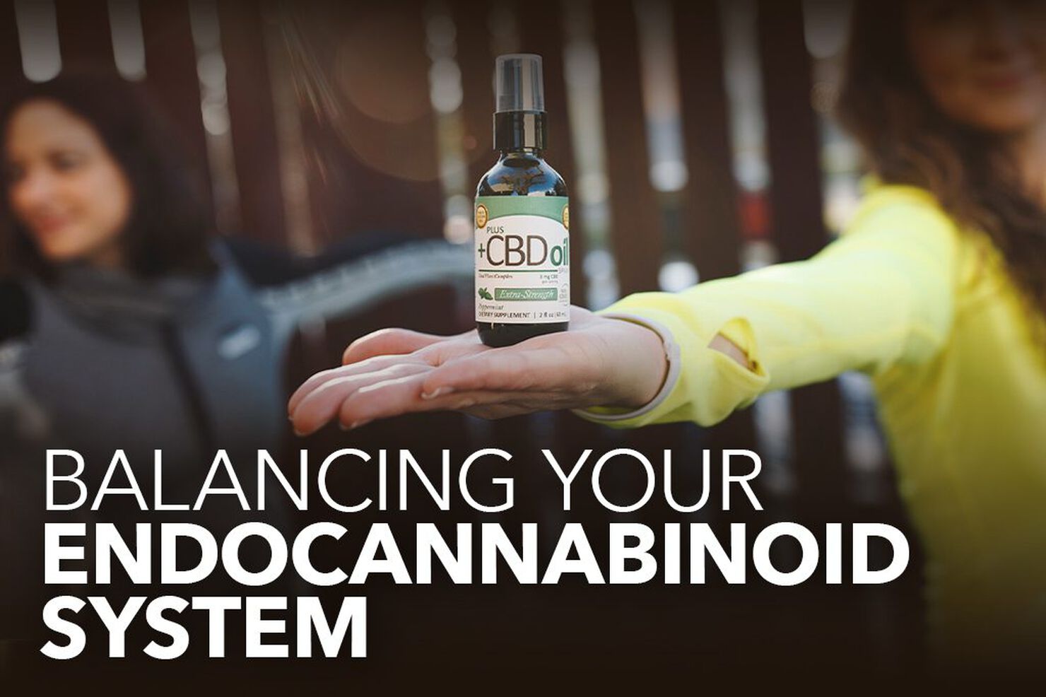 Balancing your Endocannabinoid System