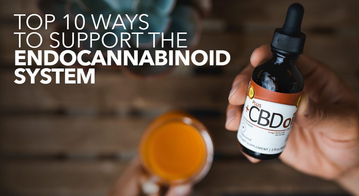Top 10 Ways to Support the Endocannabinoid System