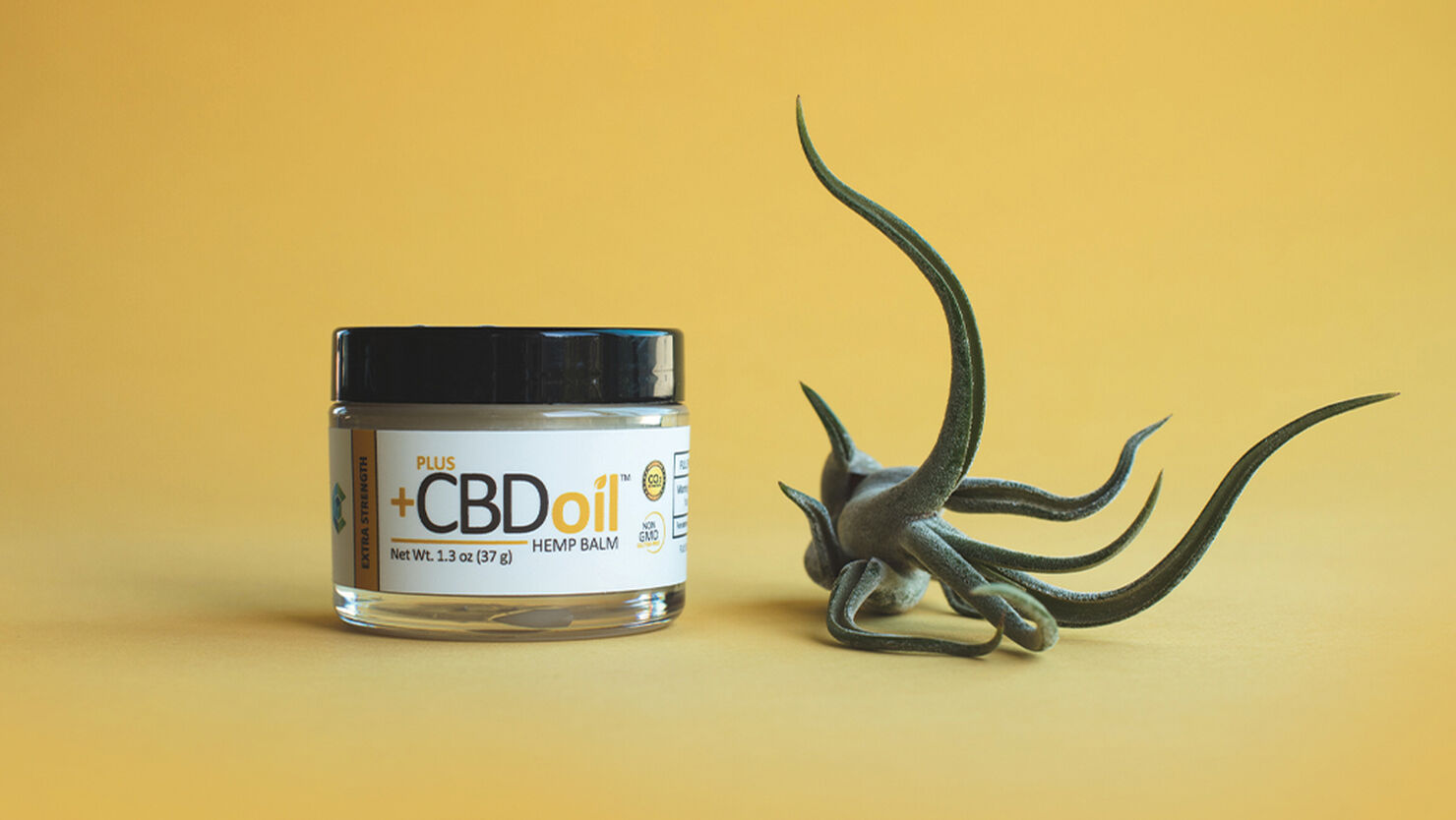 What is CBD Balm and other Skincare products Used For?