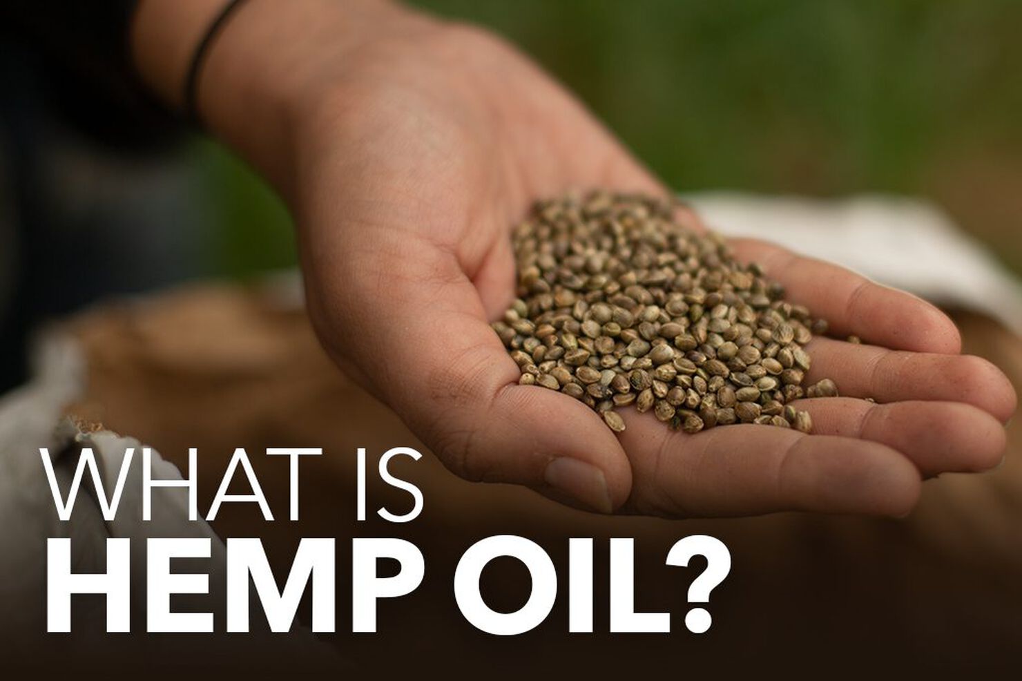 What Is Hemp Oil & Where Does It Come From?