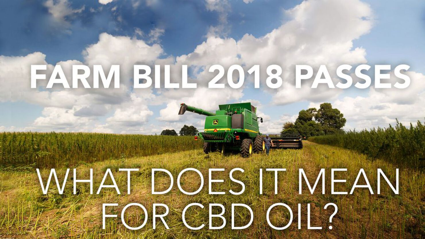 Farm Bill 2018 Passes – What Does It Mean for CBD Oil?