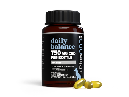Bottle of PlusCBD Softgel Capsules for Dogs and Cats, containing 25 mg of CBD per capsule for pet wellness support.