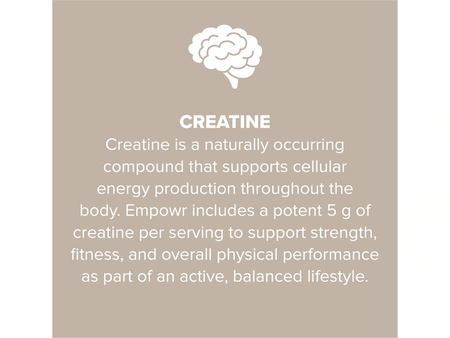 Empowr Protein Powder Vanilla