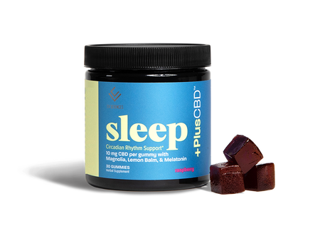 Dreamcatcher Sleep Kit