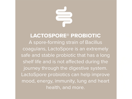 Empowr Protein Powder Vanilla