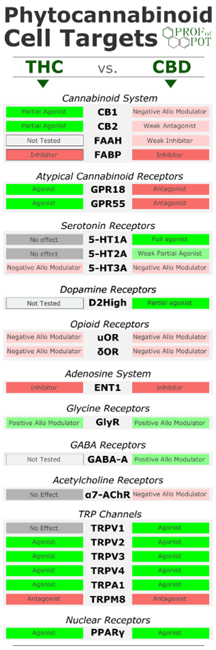 CBD vs thc receptors scientific table
