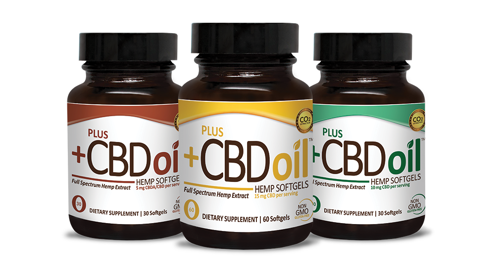 CBD Oil 550mg - Hello Ganja Delivery